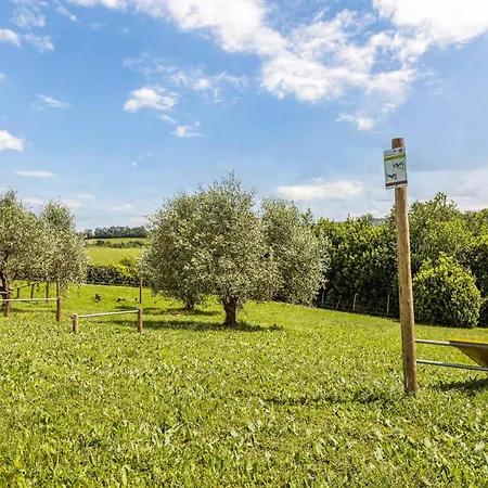 Pet Friendly In With Wifi Holiday home